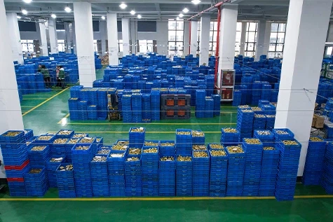 IFAN Warehouse
