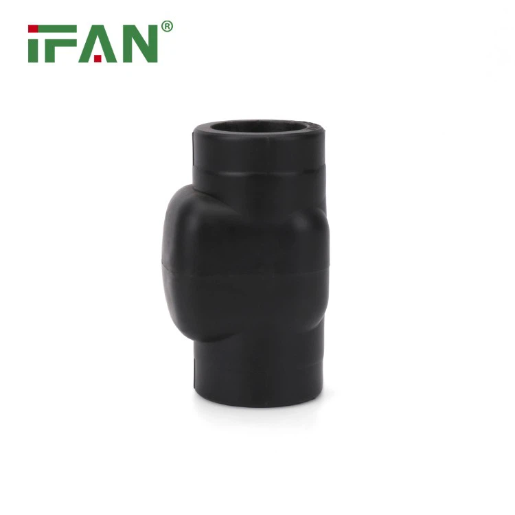 He Powerful PPR Fitting Check Valve